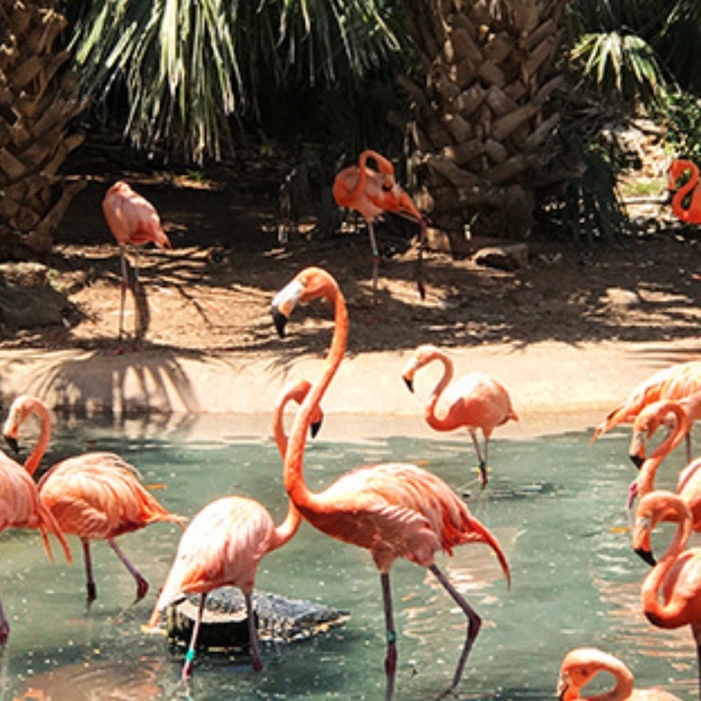 Meet your Posher, Monica